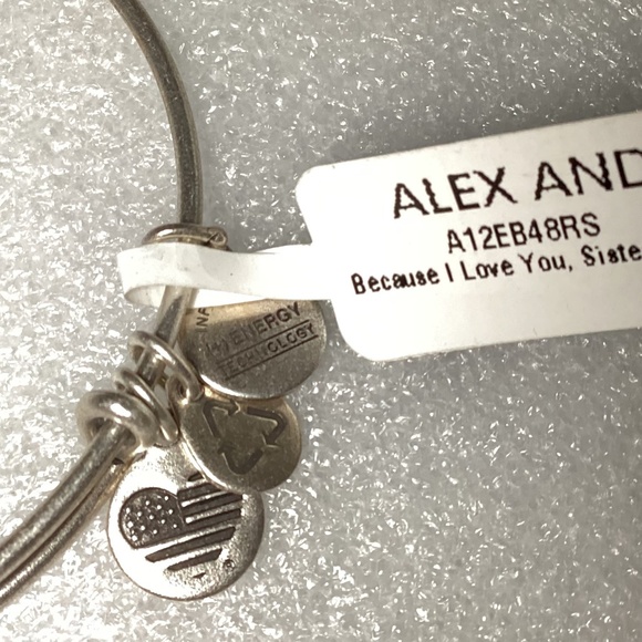 Alex And Ani Bangle Bracelet Because I Love You Sister EWB NWT - Picture 4 of 7